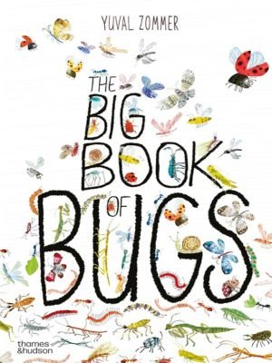 For 4th Grade The Big Book of Bugs by Yuval Zommer