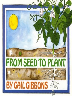 For Kindergarten From Seed to Plant by Gail Gibbons